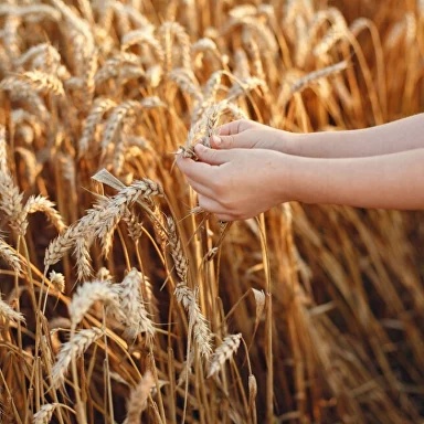 Russia is A Land of Abundant Resources and Opportunity